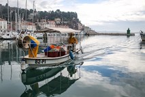 Šefic: V slovensko morje so zjutraj vplule tri hrvaške ribiške ladje 