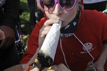 V Kaliforniji legalno tudi uživanje marihuane za osebno uporabo