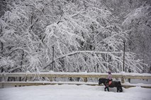 V Moskvi rekordne snežne padavine zahtevale življenje 
