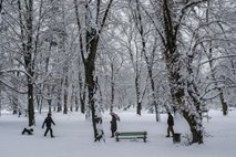 V večjem delu Slovenije bo zapadlo od 5 do 15 centimetrov snega