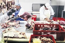 Pomanjkanje mesarjev: živilci so veseli že, če znajo držati nož v rokah