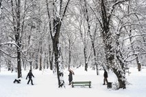 V Ljubljani prihodnji teden do –15 stopinj Celzija, tako mrzlo konec februarja ni bilo že dobro desetletje