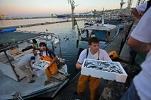 Slovenski ribiči doslej prejeli 48 kazni iz Hrvaške 