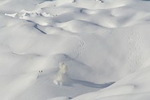 V francoskih Alpah v snežnem plazu umrlo več smučarjev