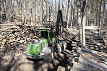 Vroče zaradi državnih gozdov: nekateri espeji dobili več državnega lesa kot velike žage