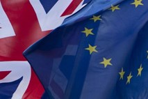 Bruselj Londonu po brexitu ponuja prostotrgovinski sporazum z ničelnimi carinami 