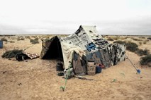 Zahodna Sahara v slovenskem političnem prostoru: bolje je biti pokopan kot pozabljen