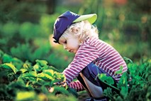 Povabimo na vrt tudi otroke: vrtnarjenje kot igra in ne kot zadolžitev