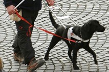 Slep Slovenec prvi na svetu prehodil 841 kilometrov dolgo pot Camino de Santiago s psom vodnikom