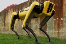 #video SpotMini: pes robot, ki bo naprodaj v letu 2019