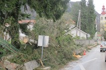Popoldanska nevihta na Dolenjskem in v Posavju zalila nekaj stavb in podrla nekaj dreves