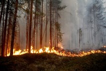#foto Na Švedskem se borijo s številnimi požari v naravi