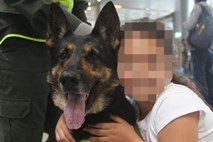 Kolumbijski kartel razpisal nagrado na glavo policijskega psa