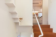 Arhitekturne rešitve za mačke: domovi, ki so zasnovani kot mačja igrišča   