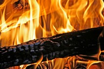 V Šentrupertu veja ubila 56-letnika, v Frankolovem v požaru umrl 33-letnik 