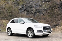 Audi Q5 in alfa romeo stelvio: Težave z identiteto so jima tuje