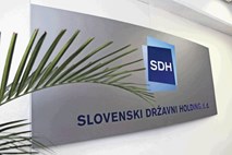 SDH: Igo Gruden, Andrej Prebil, Roman Dobnikar in 35 drugih kandidatov