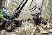 Zavod za gozdove Slovenije: 87 presežnih delavcev, a le 10.000 evrov letnega prihranka