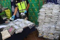 Španska policija med pošiljko banan odkrila šest ton kokaina