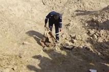 V Mehiki v grobišču našli 19 trupel