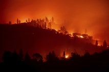 #video Število žrtev »ognjenega tornada« v  Kaliforniji narašča 