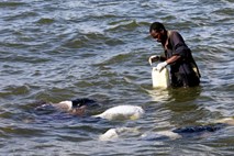 V nesreči ladje na Viktorijinem jezeru smrtne žrtve 