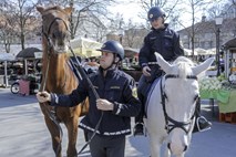 Kobilarna Lipica policiji  predali  lipicanca