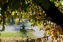 Jesen v Sloveniji za okoli dve stopinji toplejša od povprečja 