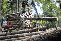 Ministrica si je ogledala poškodovane gozdove na Jelovici in zagotovila podporo
