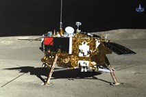 Na Luni prvič vzklila semena, ki jih je s seboj prinesla kitajska sonda 