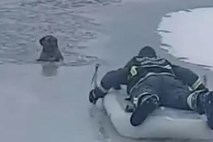 #video Gasilci v Vukovarju iz zaledenelega jezera rešili psa