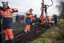 #foto Danska gradi ograjo na meji z Nemčijo, da bi ustavila prihod prašičje gripe