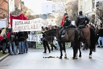 Policijski konjeniki v mestu: Socializacija konj