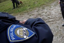 V Metliki vinjen voznik trčil v ograjo na meji, v Škofljici odrinil policista