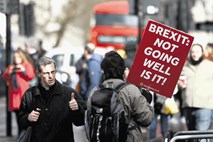 Britanski poslanci podprli preložitev brexita