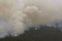 V gozdnem požaru na Kitajskem umrlo 30 gasilcev