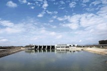 Hidroelektrarna Mokrice: Riba zvezdogled proti dvestomilijonskemu projektu