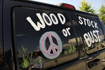 Woodstock 50 po navedbah financerja odpovedan 