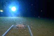 V najglobljem človeku znanem delu oceanov našli plastično vrečko