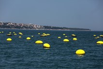 Več kot 200 potapljačev bo danes čistilo Piranski zaliv