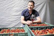 Igor Jarkovič – pridelovalec sadja, zelenjave, vinar: Jagode je lažje prodati kot cviček