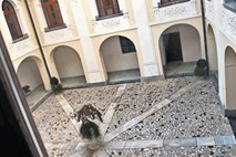 Obnova dvorca Goričane: cerkev izgubila pravdo na vrhovnem sodišču