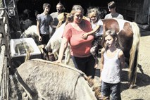 #foto #video Izobraževalna kmetija miru V pravljici: kraj, kamor se zatečejo travmatizirane živali