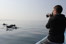 Obrazi nevladnikov: Tilen Genov, Morigenos, slovensko društvo za morske sesalce – Ko smo na morju, smo v dnevni sobi delfinov