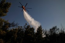 Blizu kraja lanskega smrtonosnega požara v Grčiji izbruhnil gozdni požar