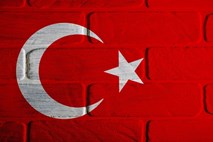 Turško ustavno sodišče razsodilo v prid akademikom, obsojenim zaradi podpisa peticije