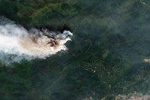 Gozdni požari v Sibiriji ogrožajo tudi Arktiko