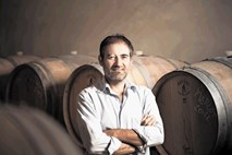 Moreno Coronica: Teran je postal veliko vino
