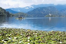Polemika o Blejskem jezeru