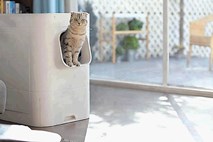 Pametno mačje stranišče za zdrave mačke in lene lastnike